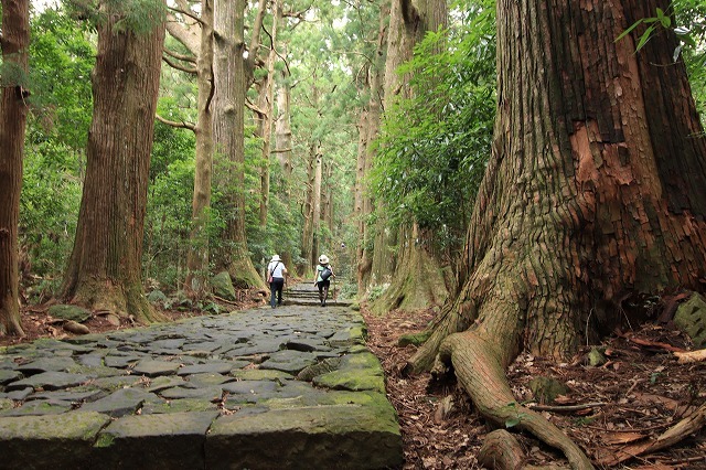 世界遺産 熊野古道大門坂を散策(撮影:9月3日)_e0321325_19165854.jpg