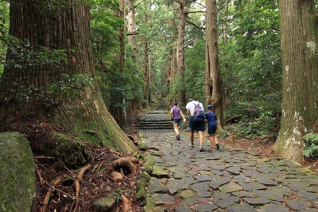 世界遺産 熊野古道大門坂を散策(撮影:9月3日)_e0321325_19185942.jpg