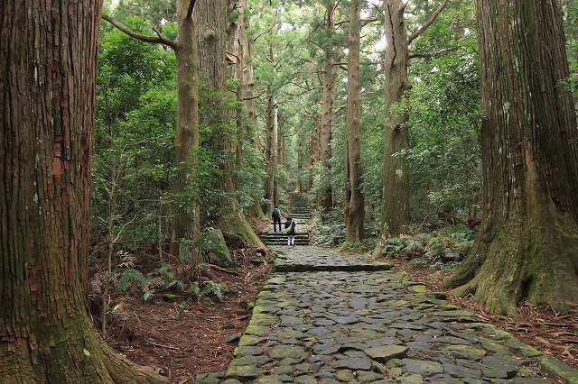世界遺産 熊野古道大門坂を散策(撮影:9月3日)_e0321325_19194593.jpg