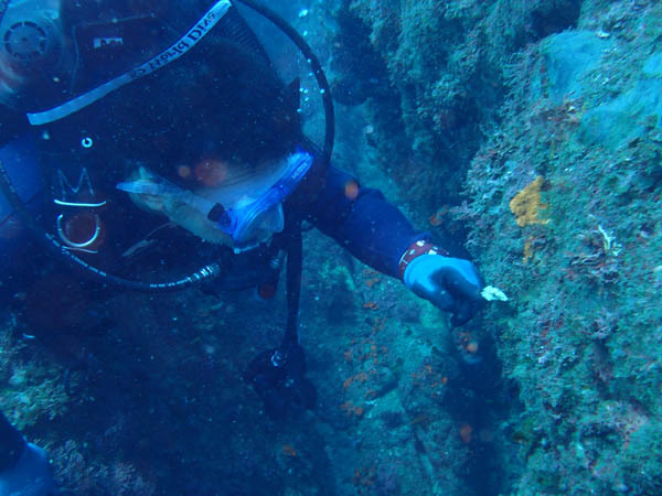 d0164831_16200829.jpg