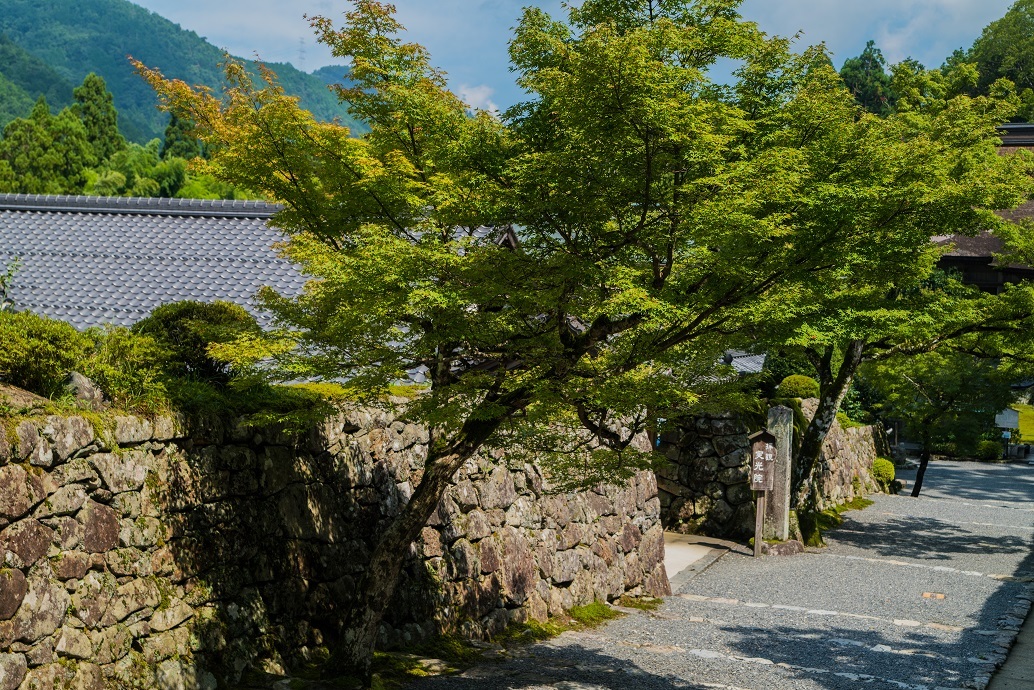 晩夏の大原~実光院_e0363038_19000719.jpg