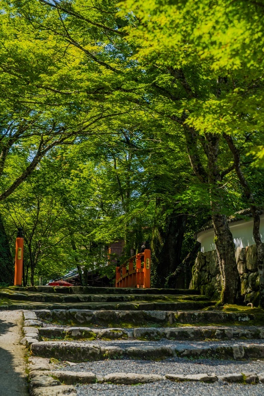 晩夏の大原~実光院_e0363038_19001168.jpg