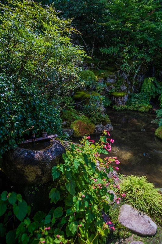 晩夏の大原~実光院_e0363038_19005147.jpg