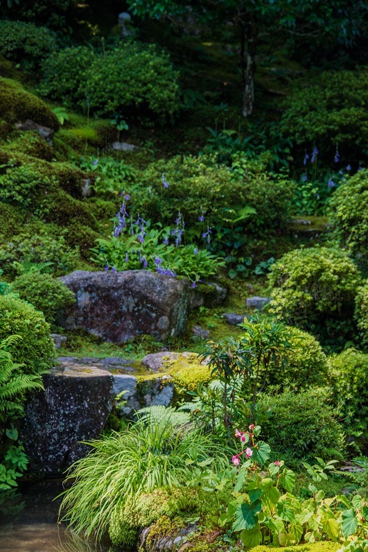晩夏の大原~実光院_e0363038_19010020.jpg