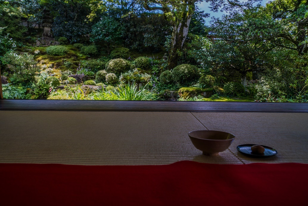 晩夏の大原~実光院_e0363038_19010409.jpg