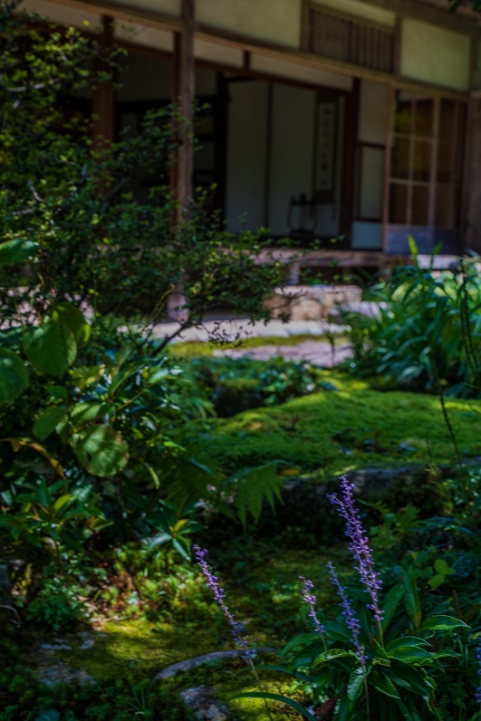 晩夏の大原~実光院_e0363038_19013263.jpg