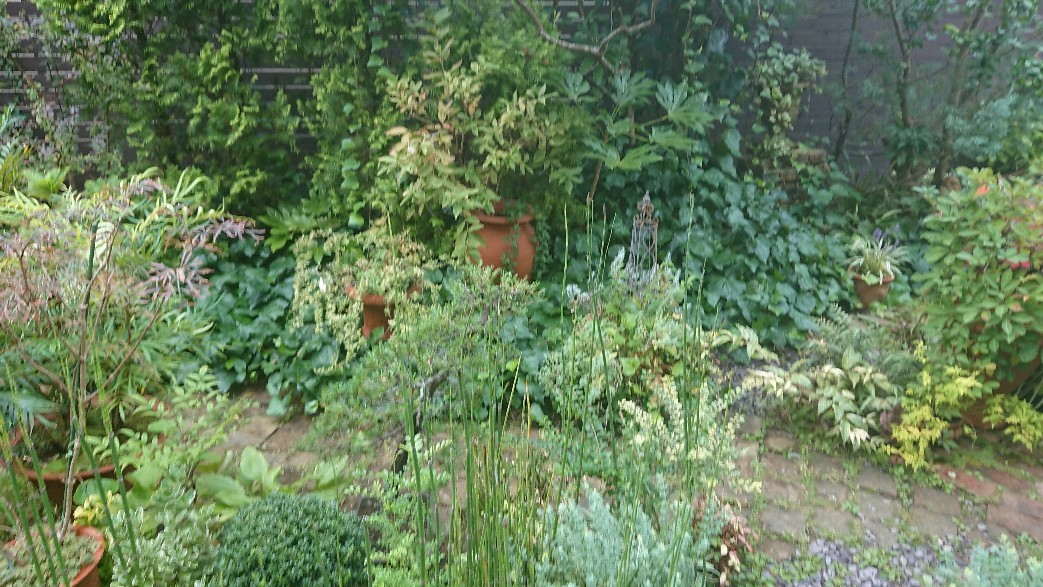 d0326241_07402567.jpg