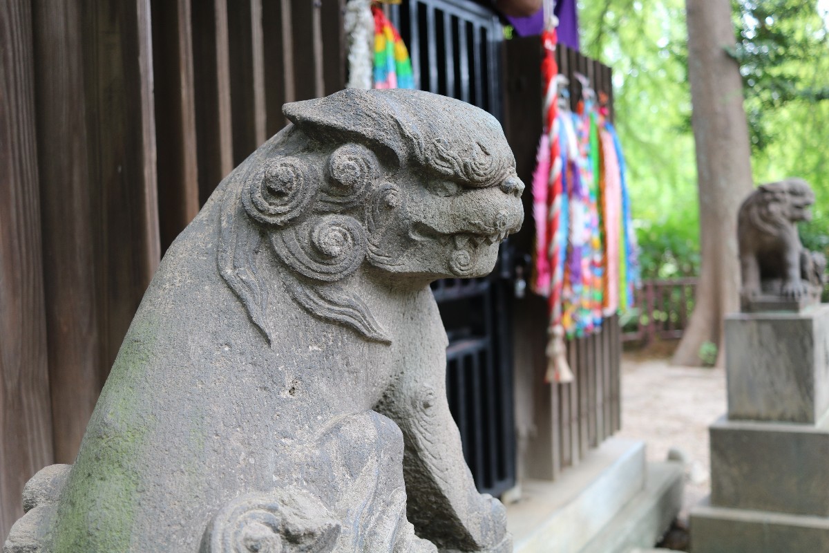 別所沼公園の彼岸花_e0415943_00550629.jpg