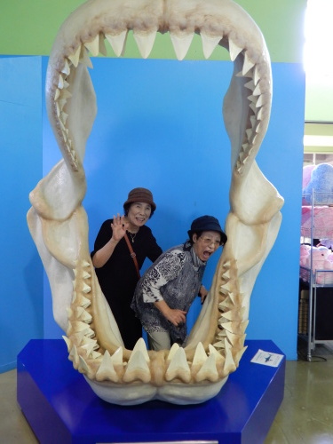 ~外出レクレーション~_d0195052_14350670.jpg