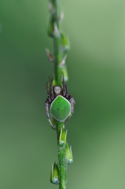 ビジュアル系 La Nature ビジュアル系 La Nature