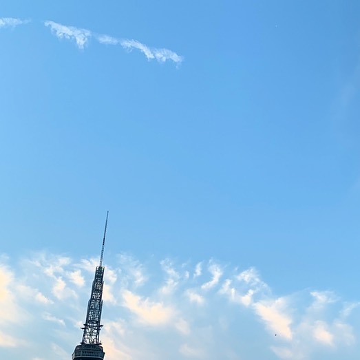 ばったり_d0047569_18380033.jpg