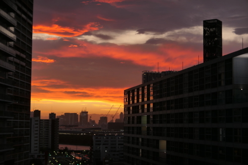 d0193569_08034958.jpg
