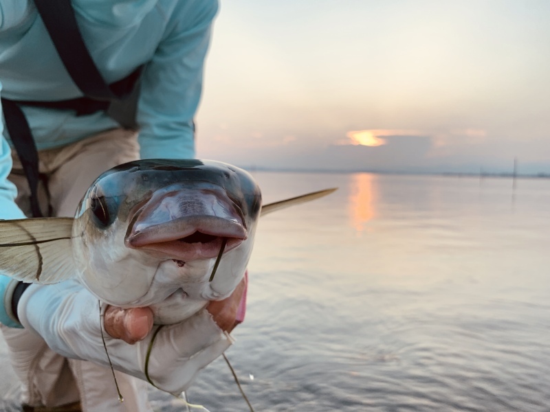魚を感じる面白さ フライフィッシングをやってみよう
