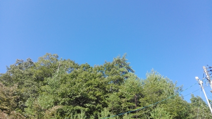 a0199979_19161328.jpg