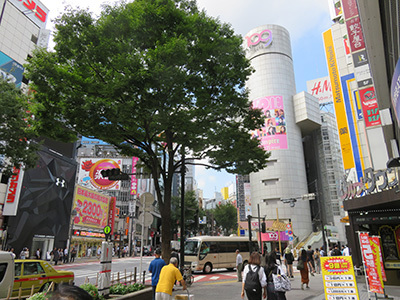 b0056983_11595505.jpg
