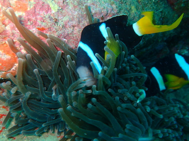 e0115199_13334816.jpg