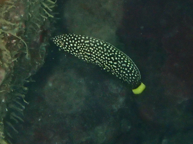 e0115199_15154228.jpg