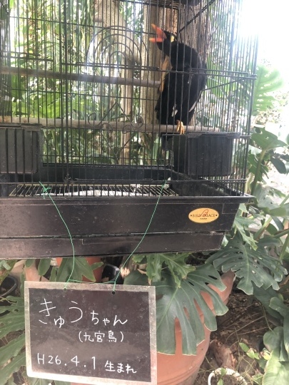 b0043506_01215218.jpeg