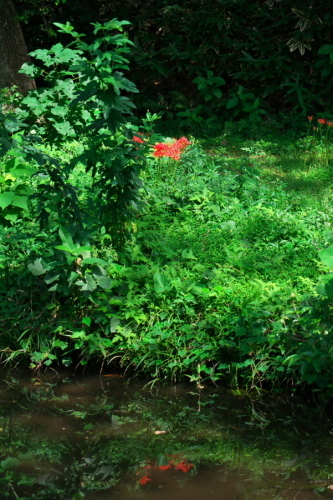 a0263109_20230278.jpg