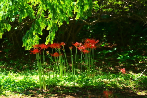 a0263109_20255816.jpg