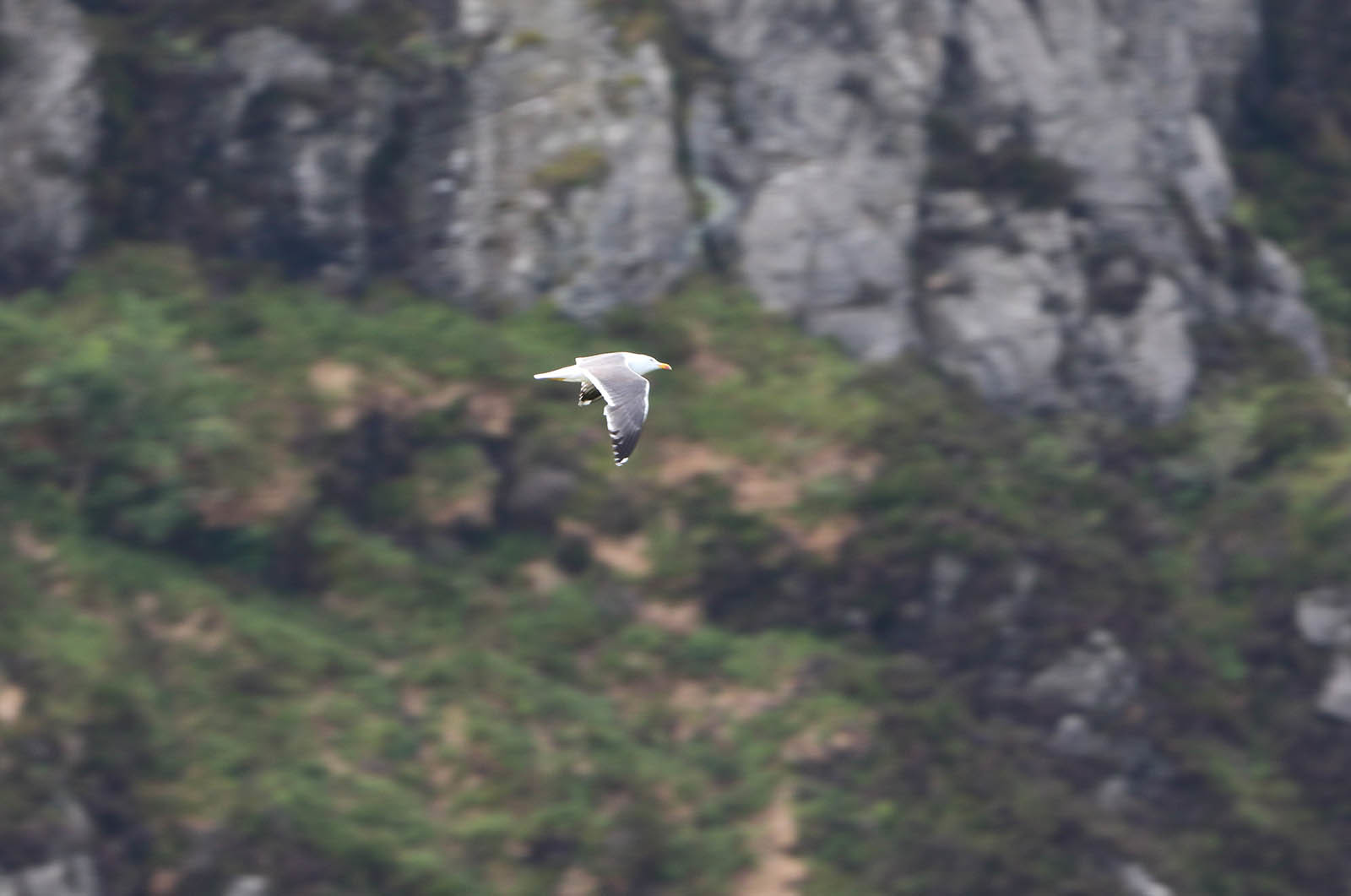 パリエアショー2019 11 「MACH LOOP 1日目」_b0315809_22292676.jpg