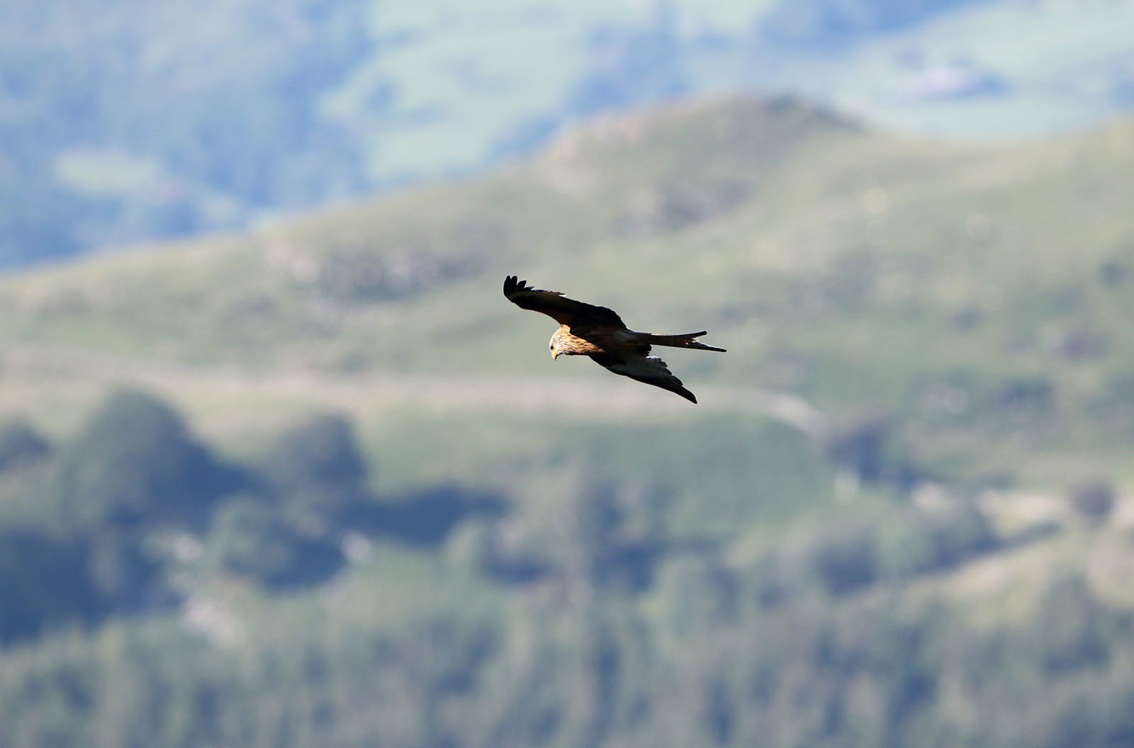 パリエアショー2019 11 「MACH LOOP 1日目」_b0315809_22315996.jpg