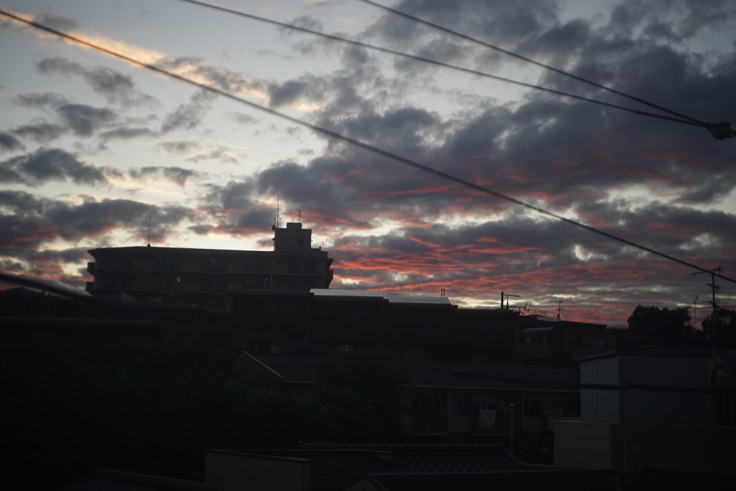 メリター 50mm F2.9 で 遊ぶ_b0069128_10413450.jpg
