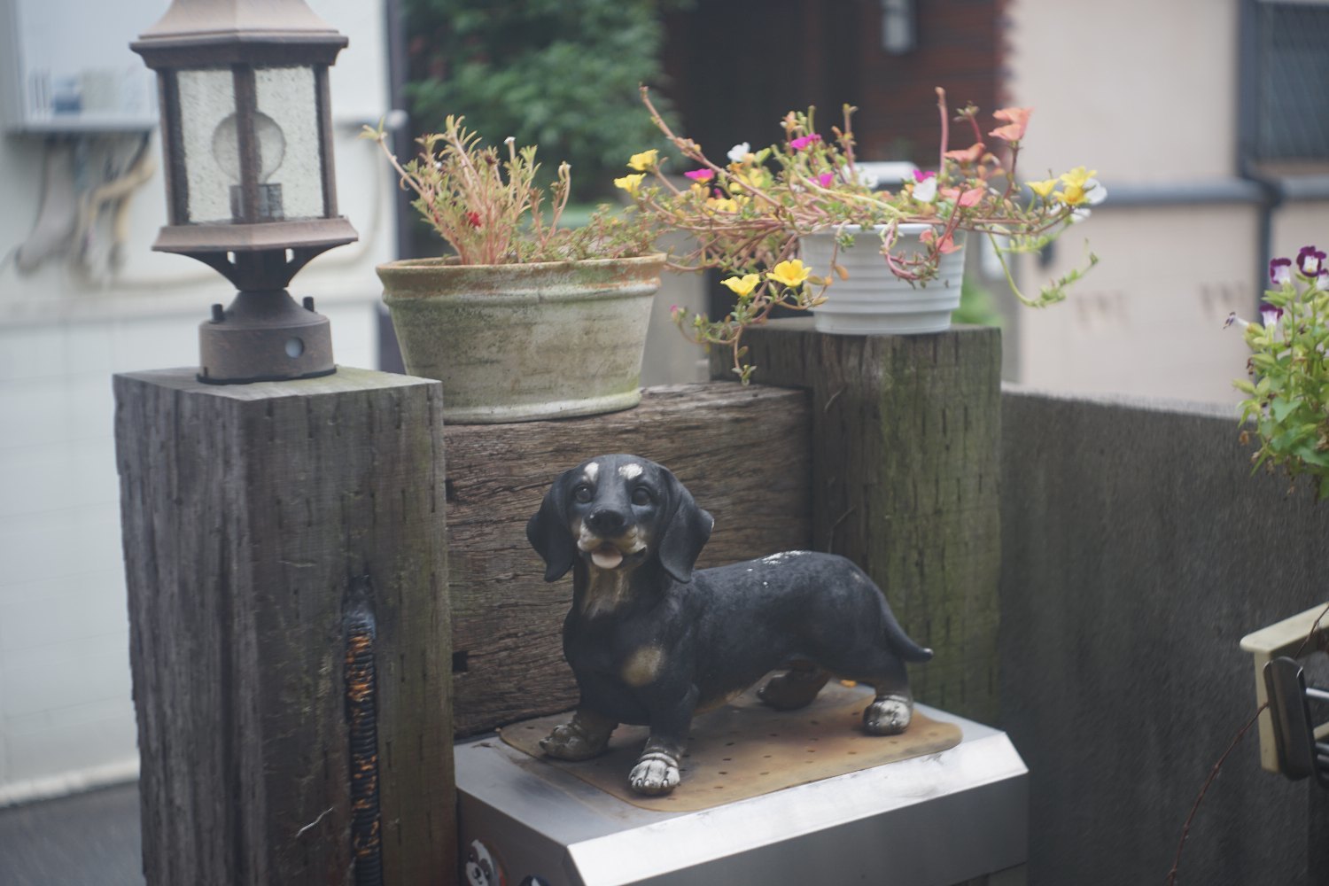 メリター 50mm F2.9 で 遊ぶ_b0069128_10415421.jpg