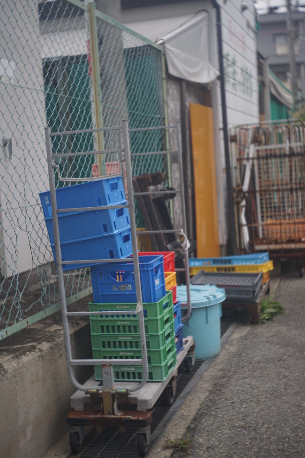 メリター 50mm F2.9 で 遊ぶ_b0069128_10420508.jpg