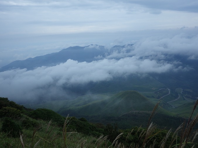 由布岳へ・・トリカブトなど_e0164643_22152524.jpg