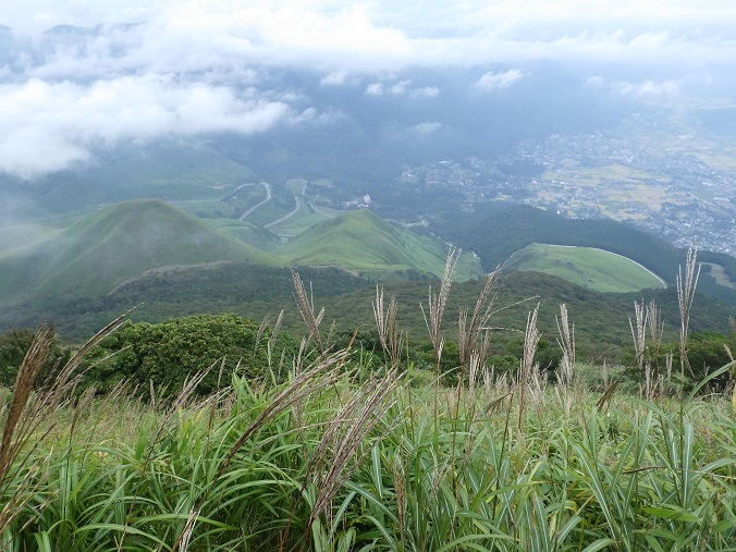 由布岳へ・・トリカブトなど_e0164643_22152929.jpg