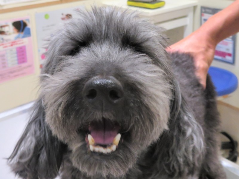 9 月 27 日の写真_c0174644_17465200.jpg