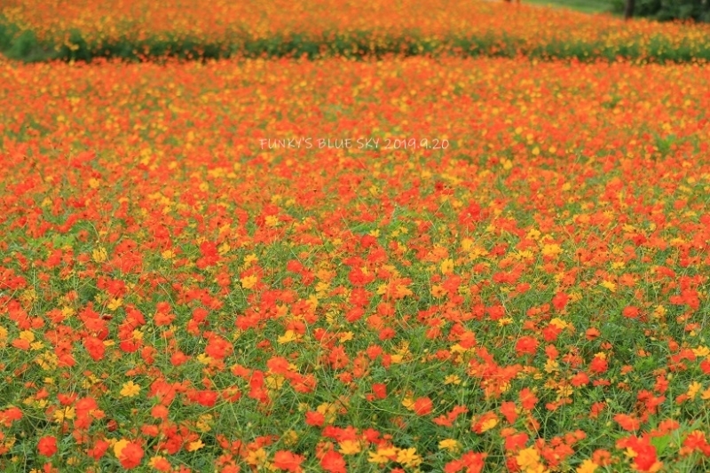 c0145250_10030378.jpg