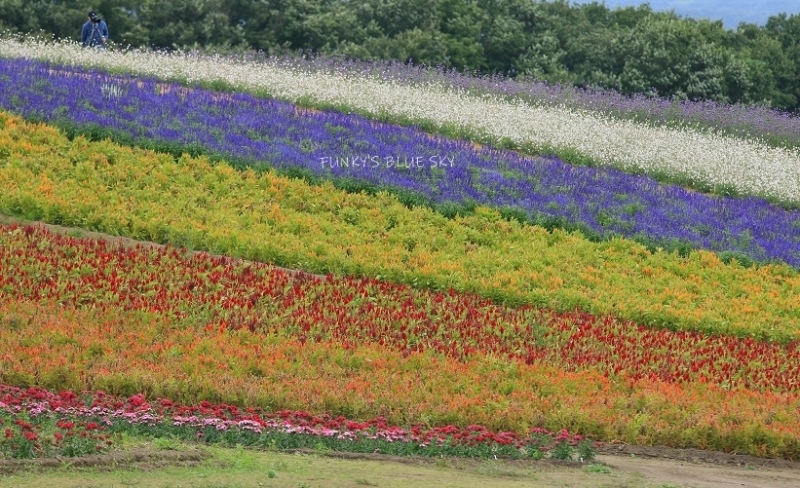 c0145250_10031276.jpg
