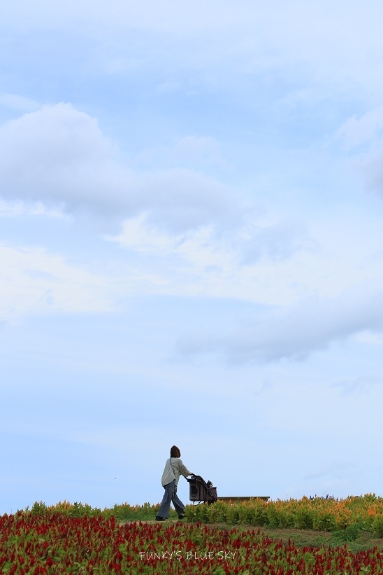 c0145250_10034014.jpg
