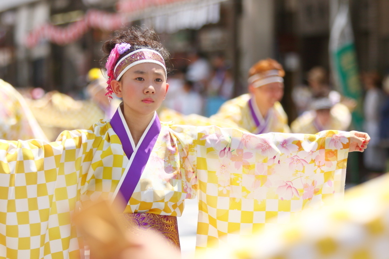 第66回よさこい祭り 本番1日目 愛宕競演場 エースワングループ_a0077663_16582011.jpg