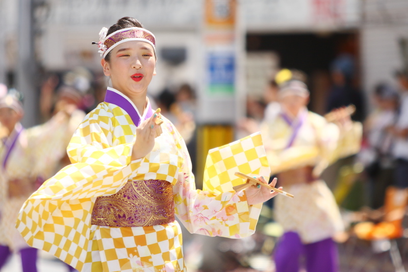 第66回よさこい祭り 本番1日目 愛宕競演場 エースワングループ_a0077663_16582084.jpg