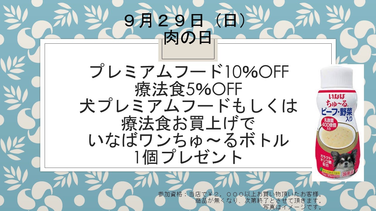 190927　肉の日イベント告知&アウトレット入荷状況_e0181866_11423131.jpg