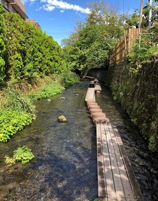 c0331470_23290841.jpg