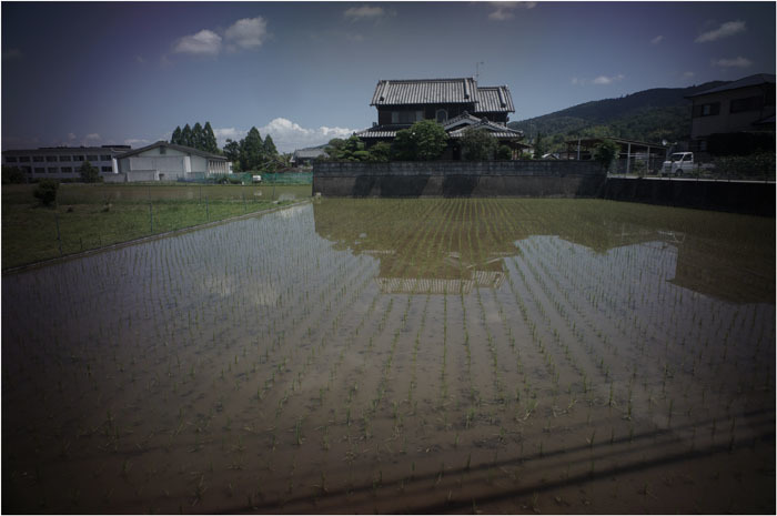 810.00 古都のはずれ（2019年6月13日スーパーアンギュロン21mmF3.4は奈良白毫寺でひと暴れ）_c0168172_18070359.jpg