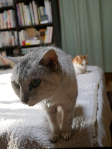 f0054677_06375605.jpg