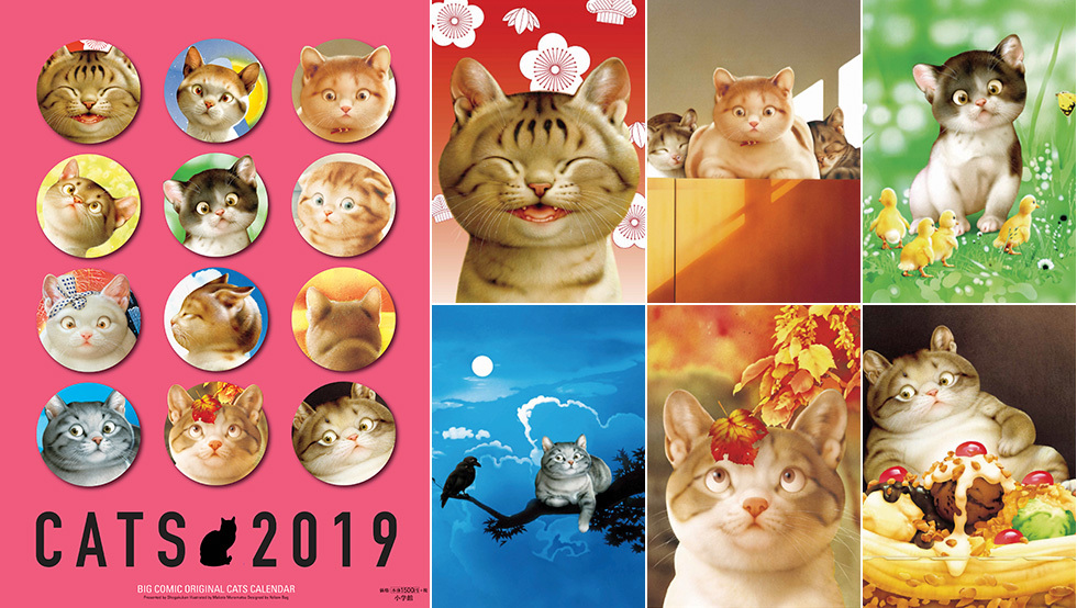 「 村松 誠 10月の 犬さん・猫さん 」_c0328479_15005735.jpg