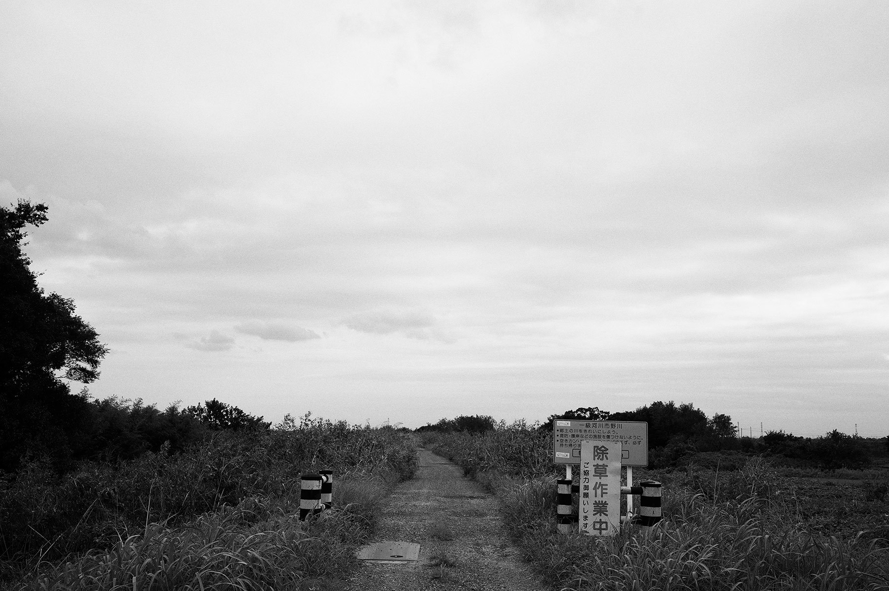 f0121181_00253446.jpg