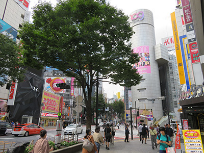 b0056983_20111613.jpg