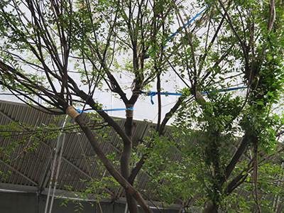 b0056983_20111698.jpg