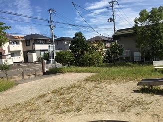 d0261484_08535618.jpg