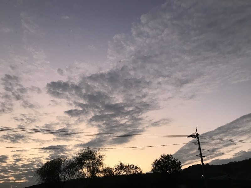 定点観察!??「ひつじ雲???かな。天気崩れるな・・・」編_e0359584_07582851.jpg