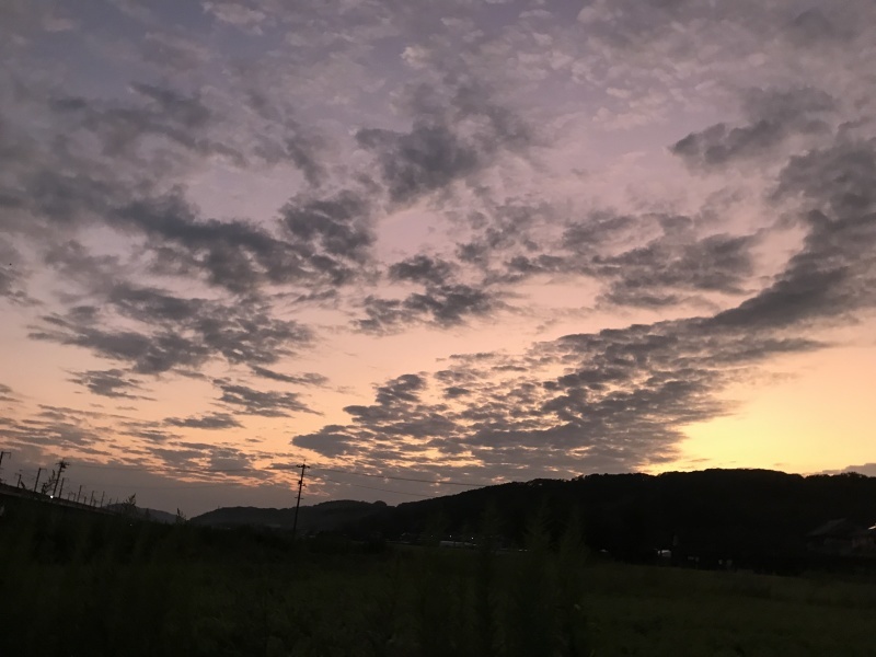 定点観察!??「ひつじ雲???かな。天気崩れるな・・・」編_e0359584_07582971.jpg