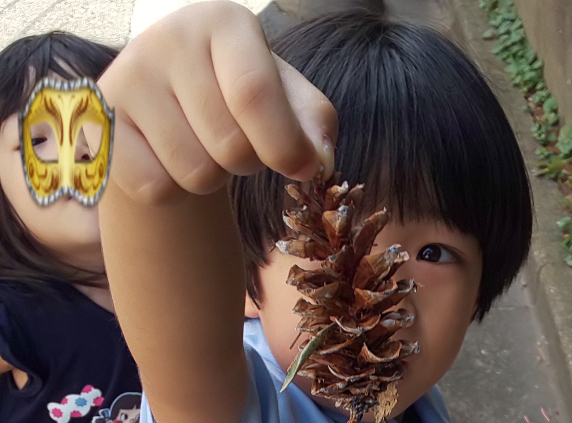 昼間は暑くてもやはり秋 まつぼっくりや子どんぐり 虫の音が聞こえる 漢那ゆきのブログ 昼間は暑くてもやはり秋 まつぼっくりや子どんぐり 虫の音が聞こえる 漢那ゆきのブログ