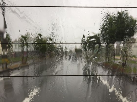 a0258686_06301791.jpeg